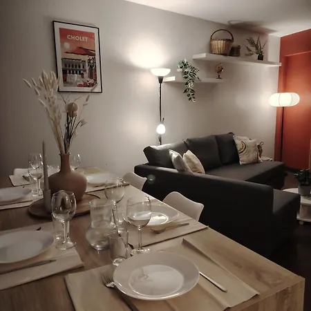 Plein Centre Ville, Chaleureux Et Spacieux דירה שולה