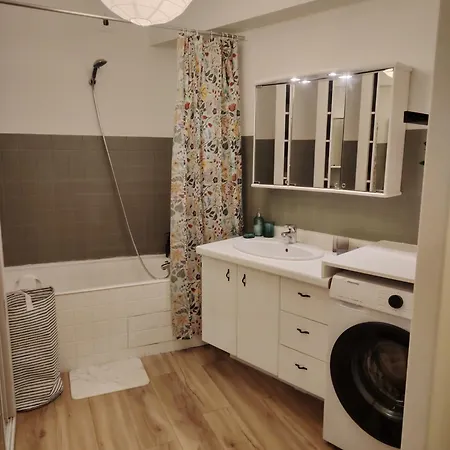 Plein Centre Ville, Chaleureux Et Spacieux * שולה