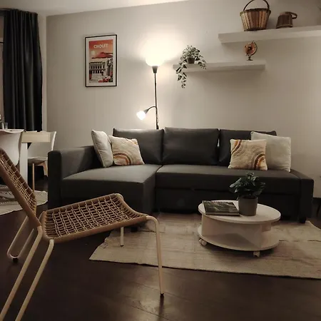 Plein Centre Ville, Chaleureux Et Spacieux דירה שולה