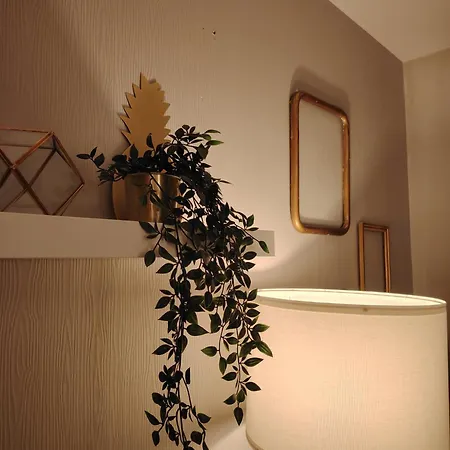 Plein Centre Ville, Chaleureux Et Spacieux דירה *