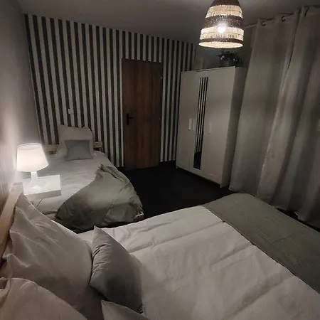 Plein Centre Ville, Chaleureux Et Spacieux *