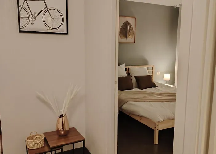 Plein Centre Ville, Chaleureux Et Spacieux