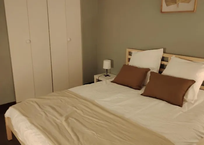 Plein Centre Ville, Chaleureux Et Spacieux Appartamento